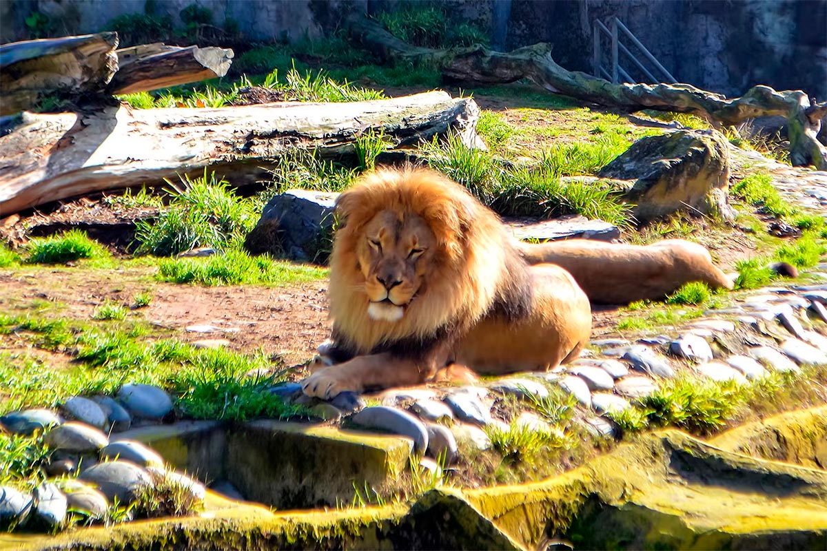 Top 5 places for your kids in San Francisco